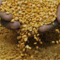 the-price-of-pulses-in-the-country-has-gone-up