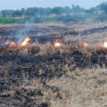 farmers-are-aware-of-the-threat-of-fire