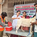 anti-rabies-vaccinations-for-pet-dogs